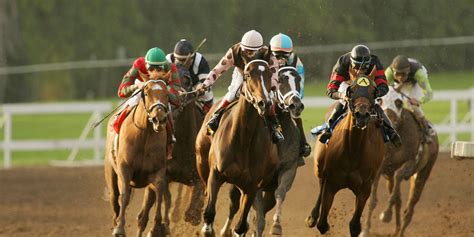 antelope valley fair turf room casino|Racetracks « Cal Racing.